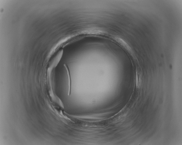 X0000084010531200703022033