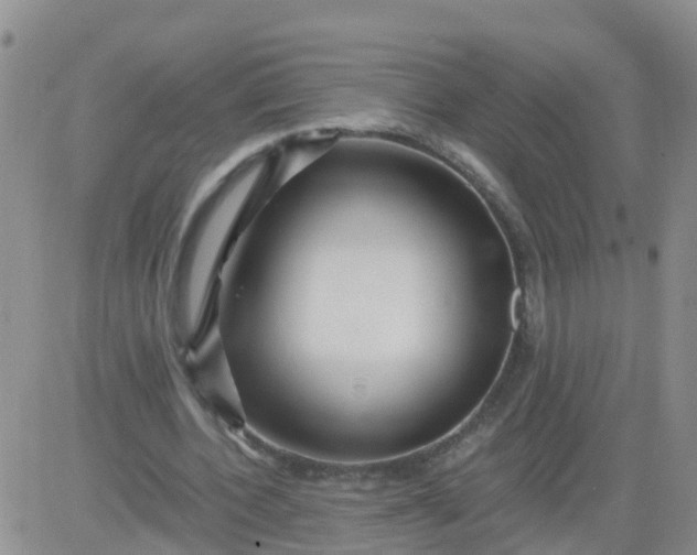 X0000084010532200703022033