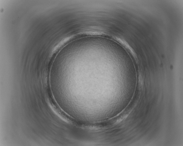 X0000084010533200703022033