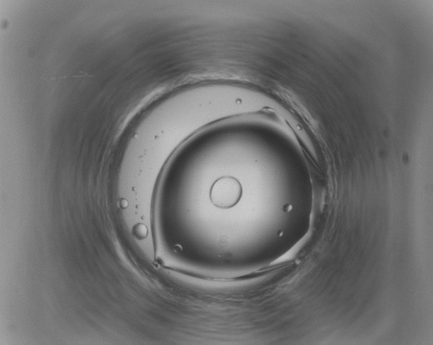 X0000084010534200703022034