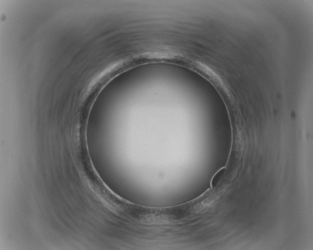 X0000084010535200703022034