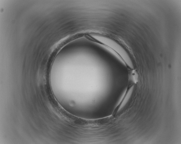 X0000084010536200703022034