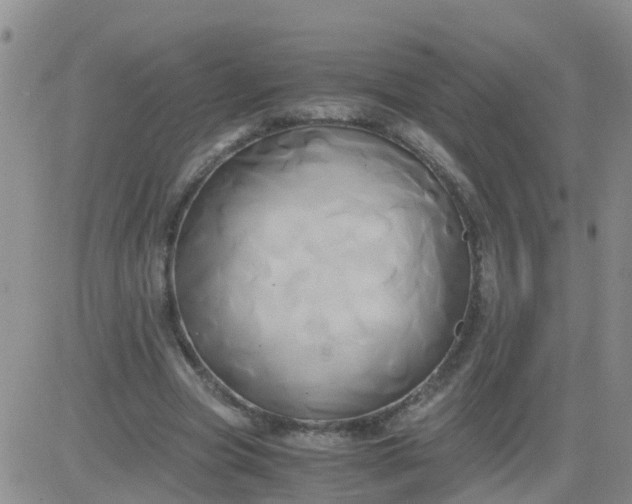 X0000084010537200703022034