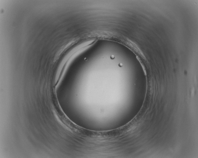 X0000084010538200703022034