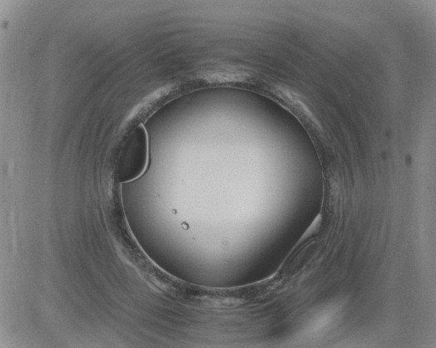 X0000084010539200703022034