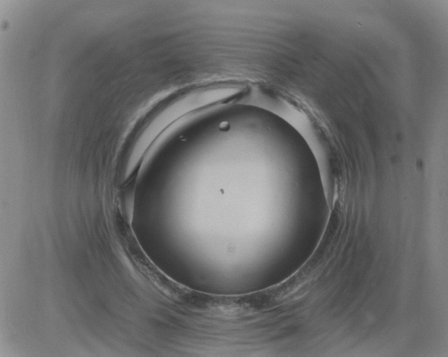 X0000084010540200703022034