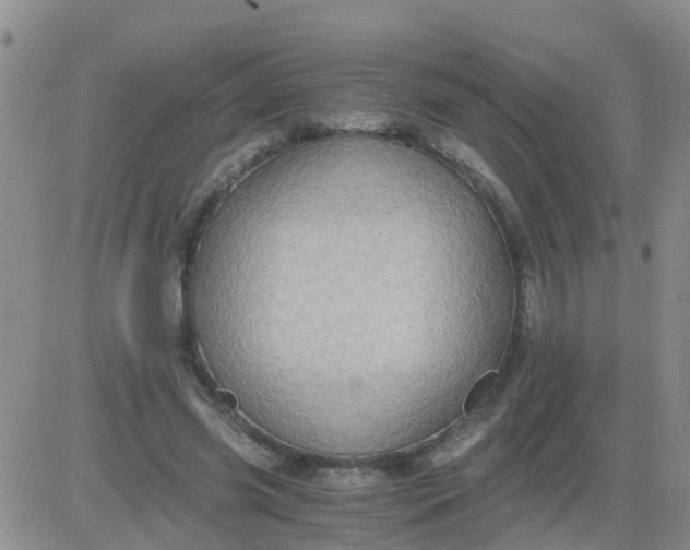 X0000084010541200703022034