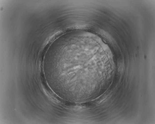 X0000084010542200703022034