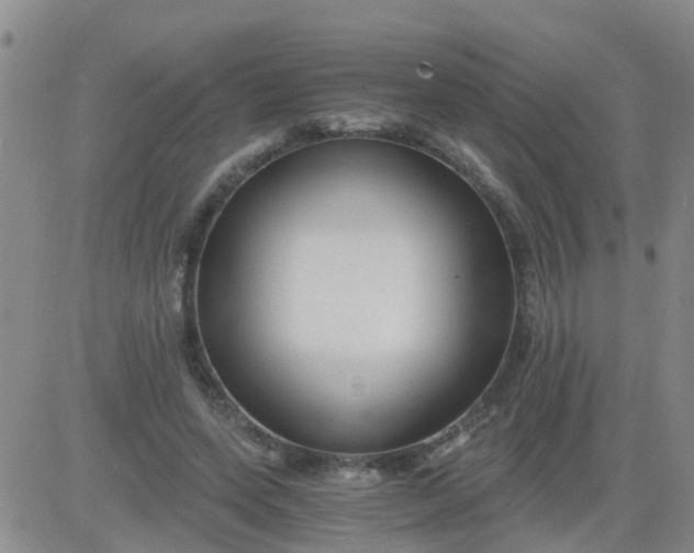 X0000084010543200703022034