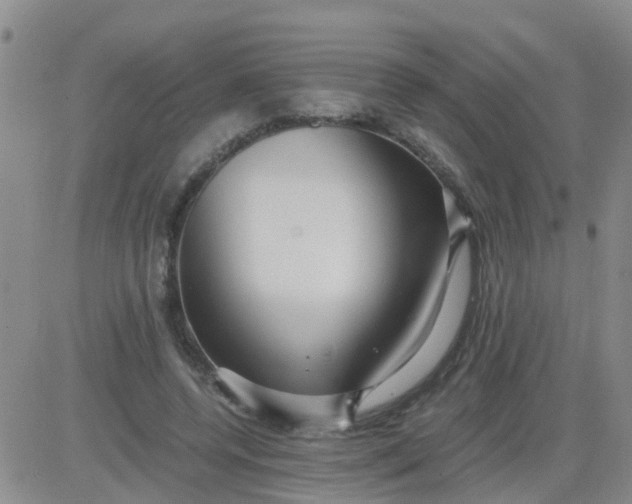 X0000084010544200703022034