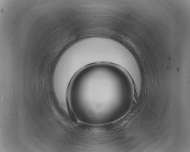 X0000084010546200703022034