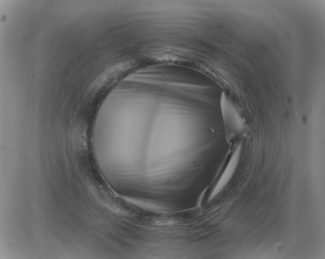 X0000084010547200703022034