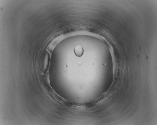 X0000084010548200703022034