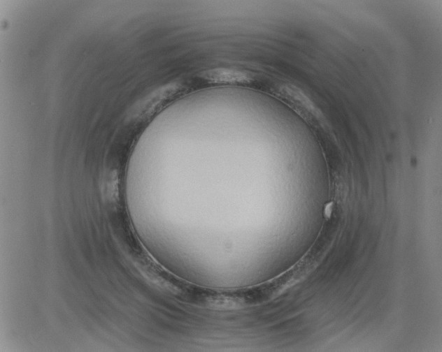 X0000084010549200703022034