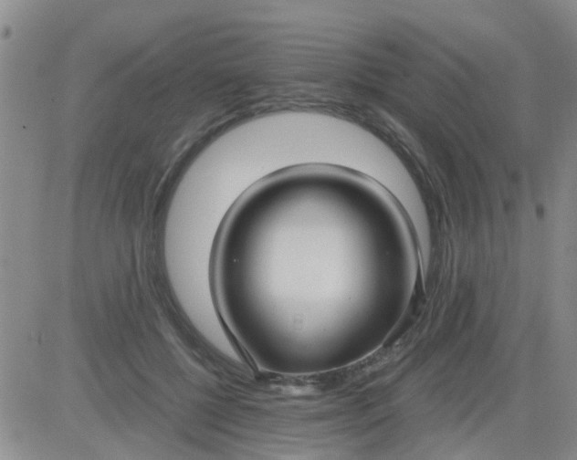 X0000084010552200703022034