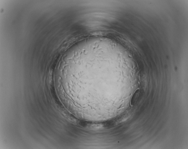 X0000084010554200703022034