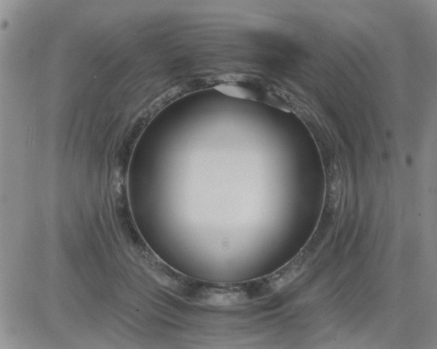 X0000084010555200703022034