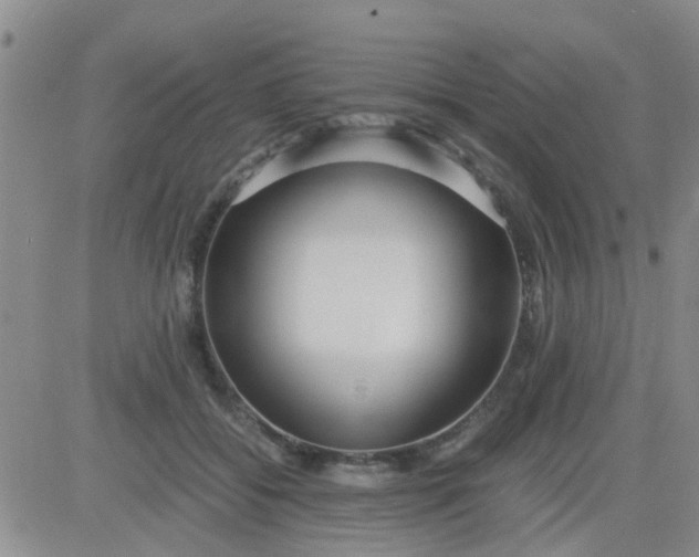 X0000084010556200703022034