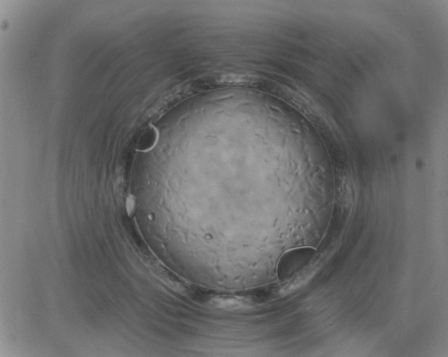 X0000084010557200703022034