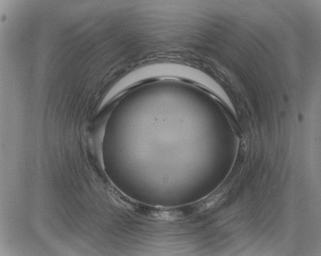 X0000084010558200703022034