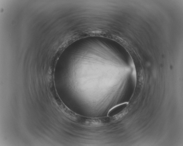 X0000084010559200703022034