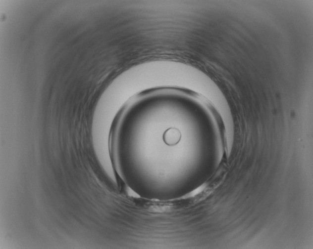 X0000084010560200703022034