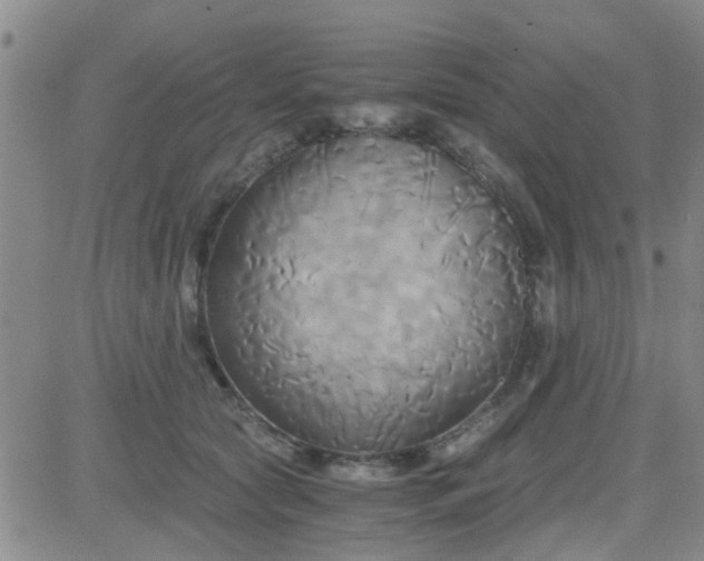 X0000084010561200703022034