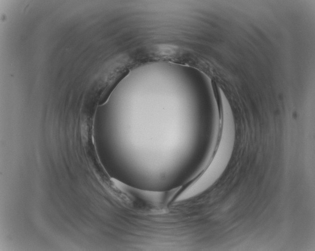 X0000084010562200703022034