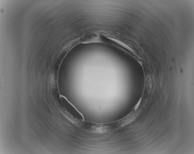 X0000084010564200703022034