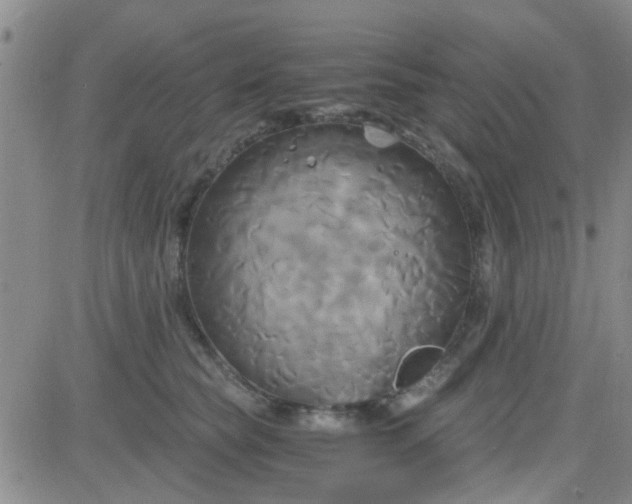 X0000084010565200703022034