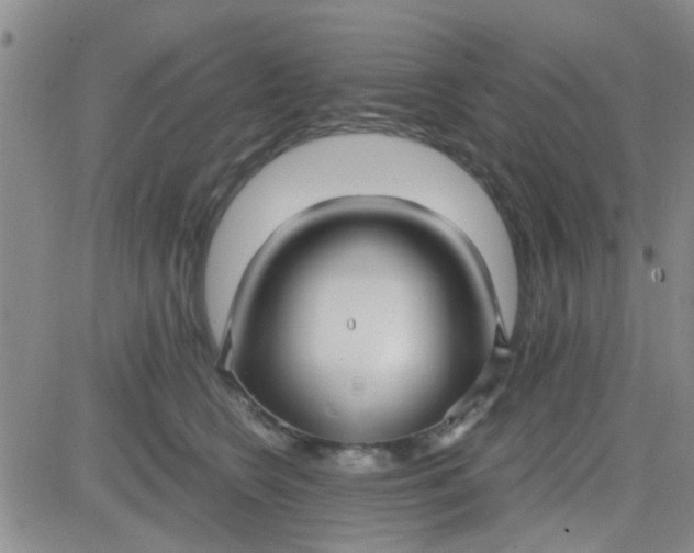 X0000084010566200703022034