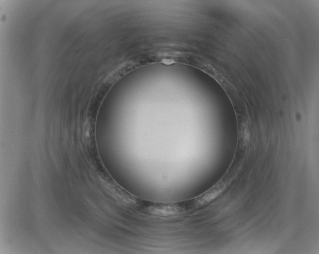 X0000084010567200703022034