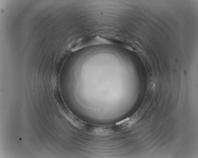 X0000084010568200703022034