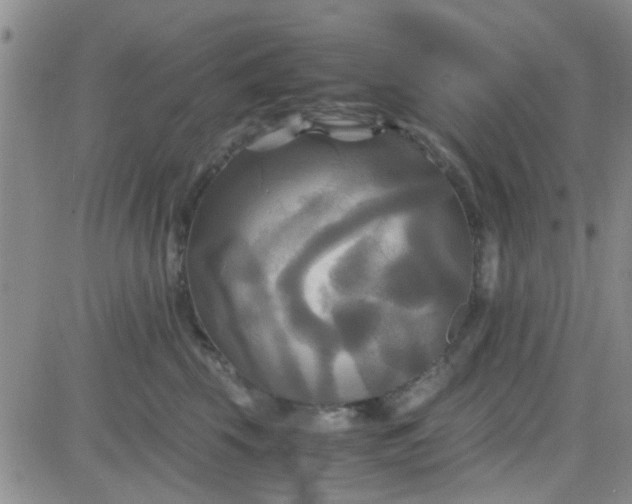 X0000084010569200703022034