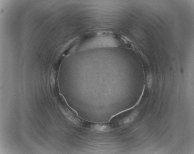 X0000084010570200703022034