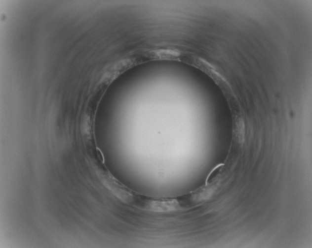 X0000084010571200703022034