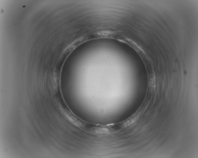 X0000084010572200703022034