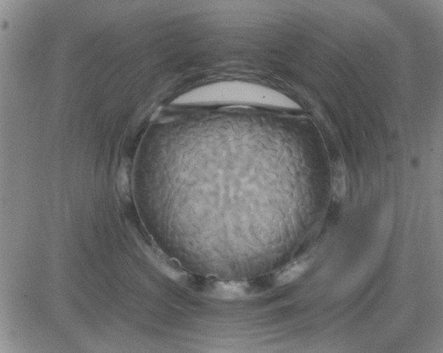 X0000084010573200703022034