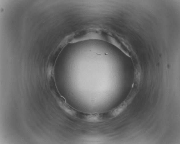 X0000084010574200703022034