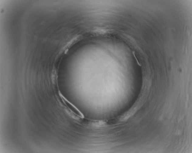 X0000084010576200703022034