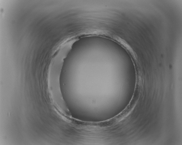 X0000084010577200703022033