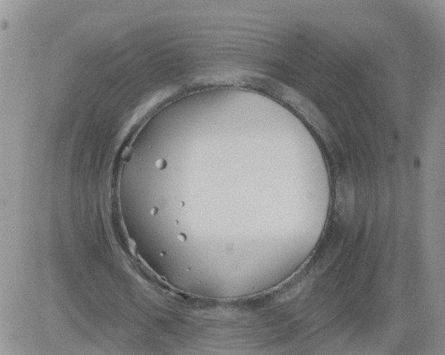 X0000084010578200703022033