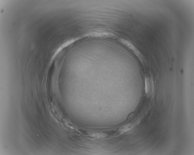 X0000084010579200703022033