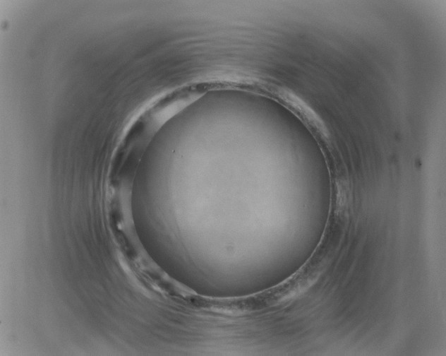 X0000084010580200703022033