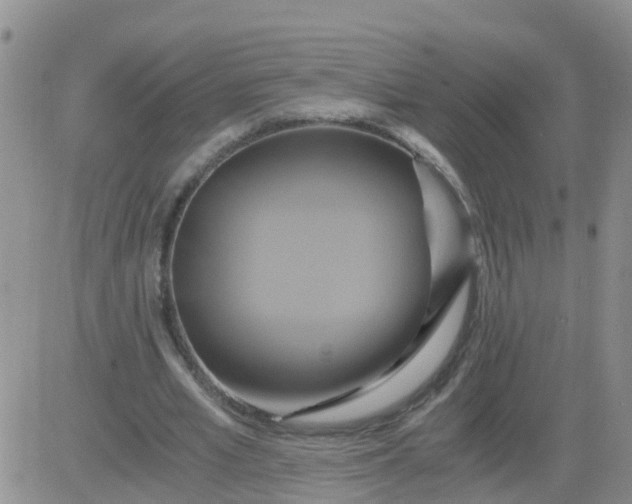 X0000084010581200703022033