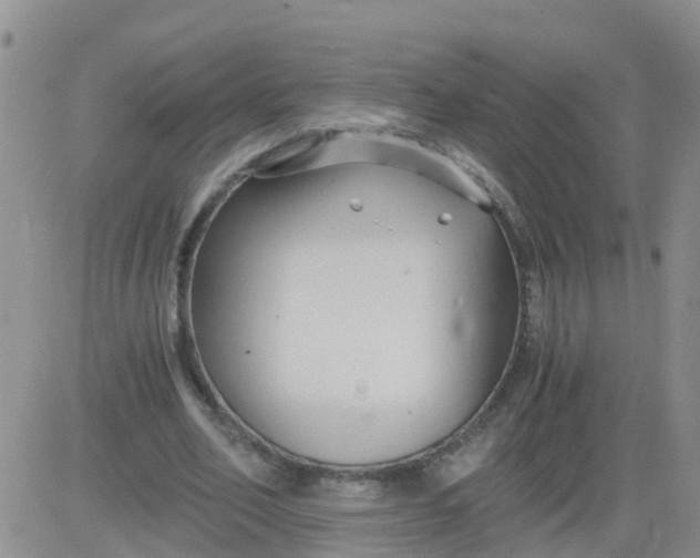 X0000084010582200703022033