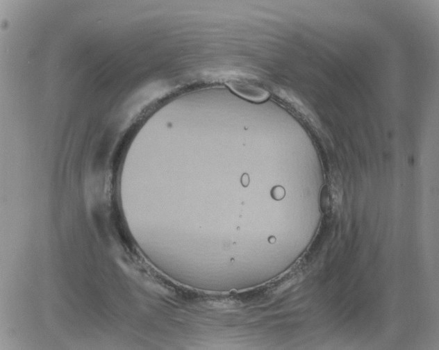 X0000084010583200703022033