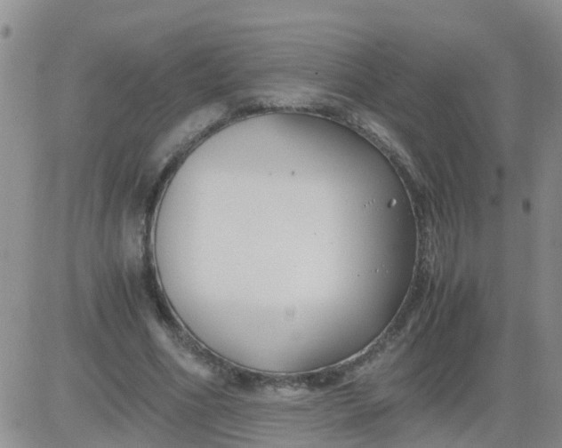 X0000084010586200703022033