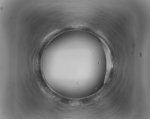 X0000084010587200703022033