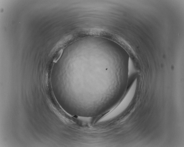 X0000084010589200703022033